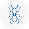 Ant Removals In Nuneaton
