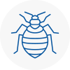 Bed Bug Extermination In Nuneaton