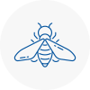 Bee Nest Removal Nuneaton