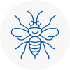 Nuneaton Hornet Nest Removals