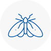 Moth Control Specialists In Nuneaton