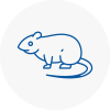 Rat Control Nuneaton