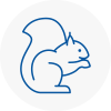 Nuneaton Rodent Removals